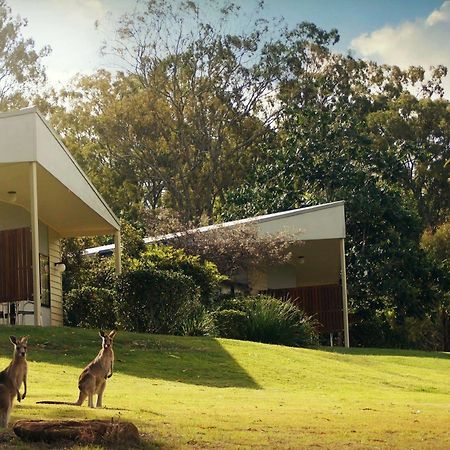 Boonah Valley Motel מראה חיצוני תמונה