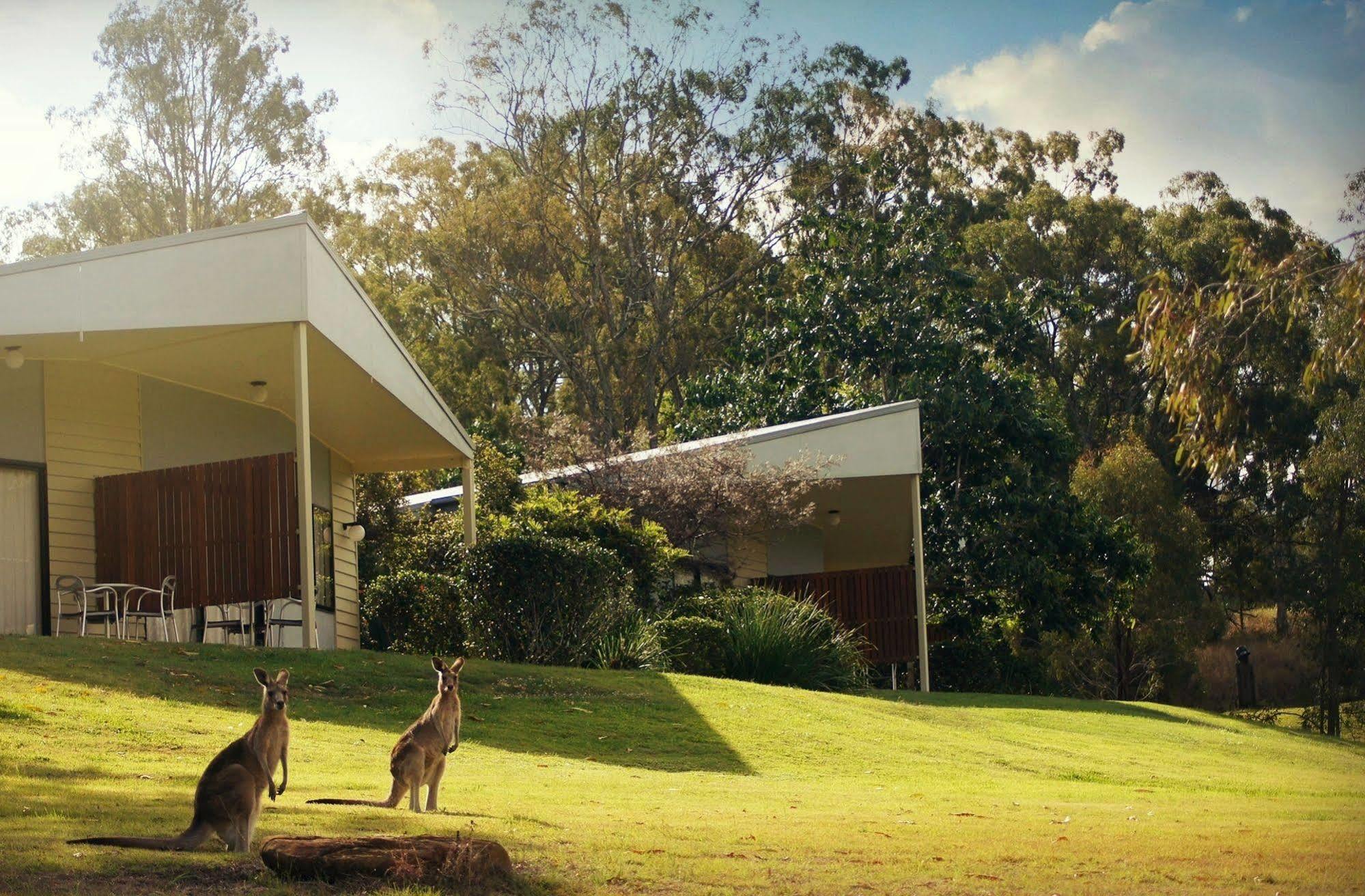 Boonah Valley Motel מראה חיצוני תמונה
